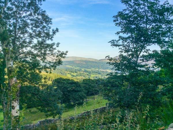 Вилла Tyn Llwyn Долгеллау Экстерьер фото
